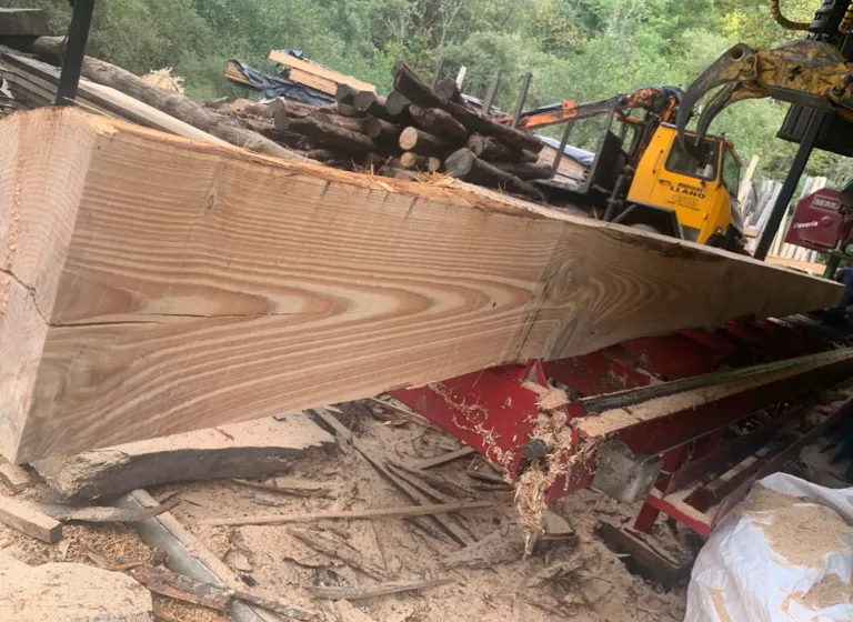 Máquina cortando un tronco de madera