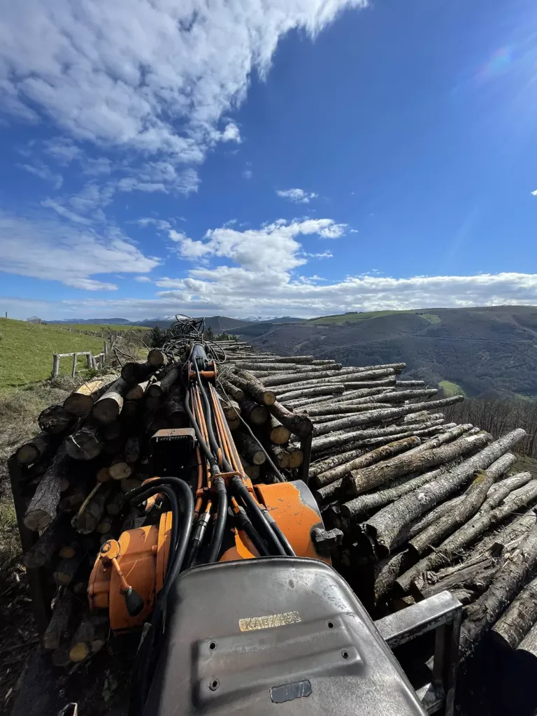 Tractor moviendo troncos cortados