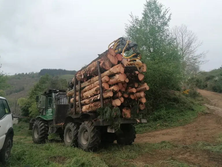 Tractor cargado con troncos cortados